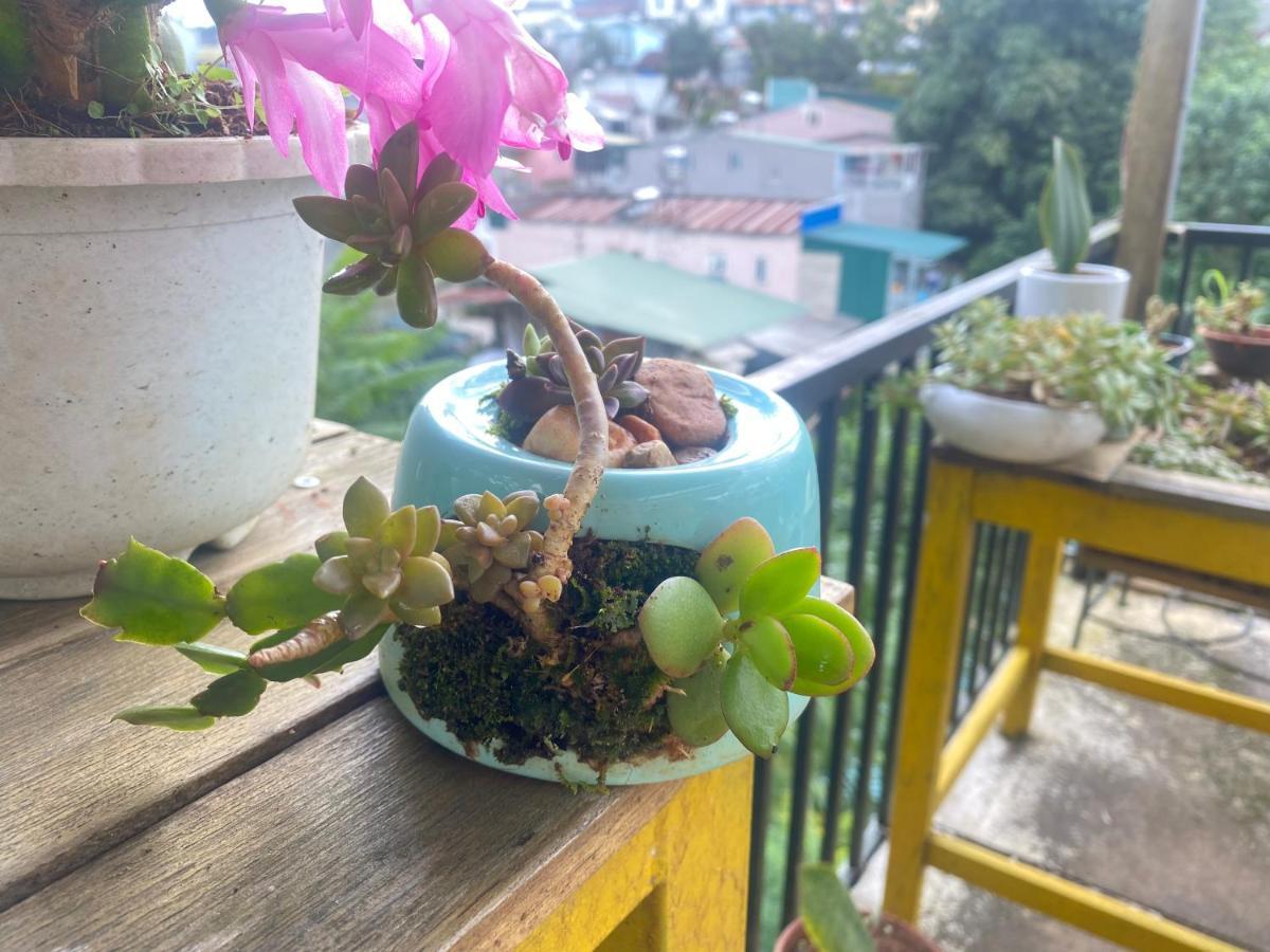 Dalat Inn Homestay Hem 48 Екстериор снимка