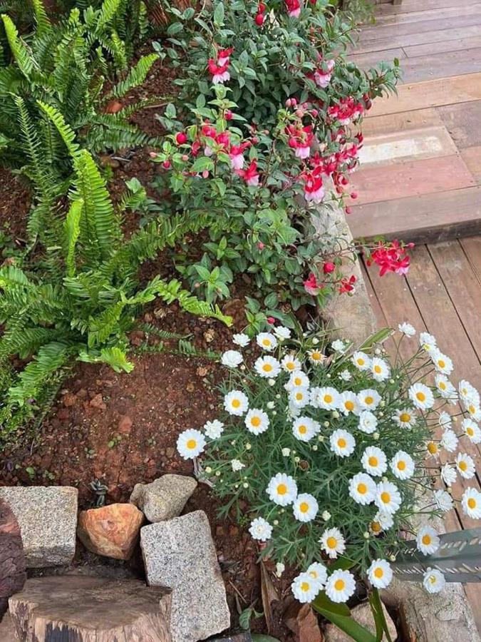 Dalat Inn Homestay Hem 48 Екстериор снимка