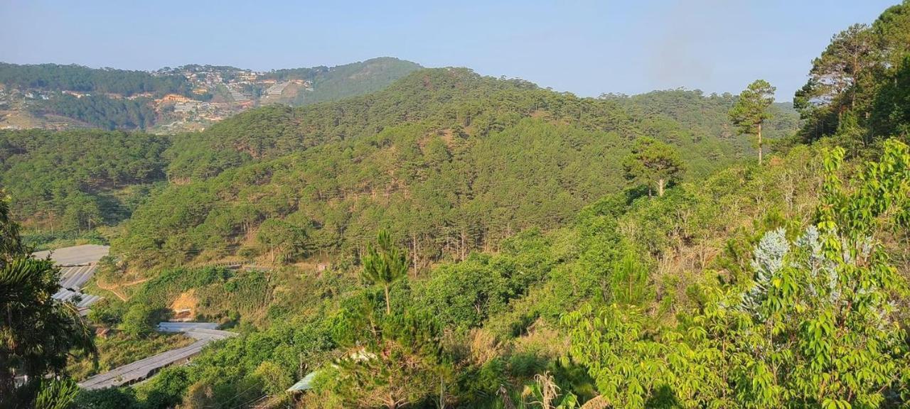 Dalat Inn Homestay Hem 48 Екстериор снимка